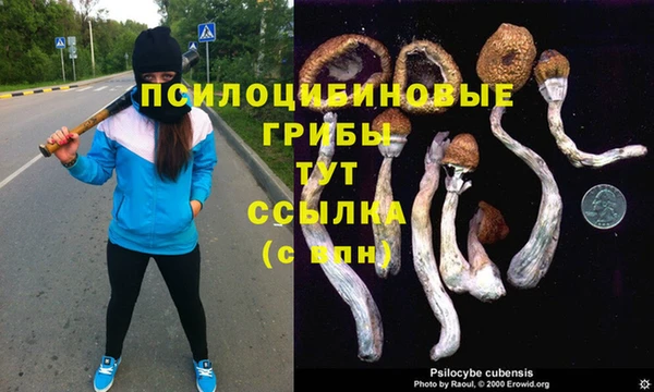 метамфетамин Горно-Алтайск