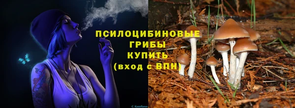 прущий лед Горнозаводск