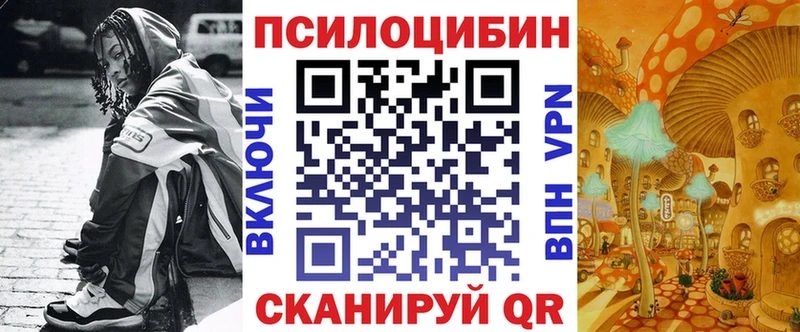 закладки Дорогобуж Псилоцибиновые грибы MAGIC MUSHROOMS